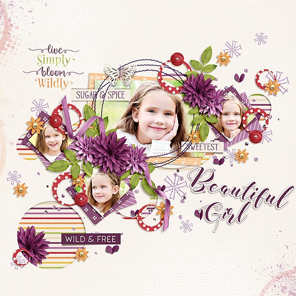 Layout Sample of Dahlia | Collection