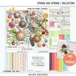 Spring Has Sprung | Collection