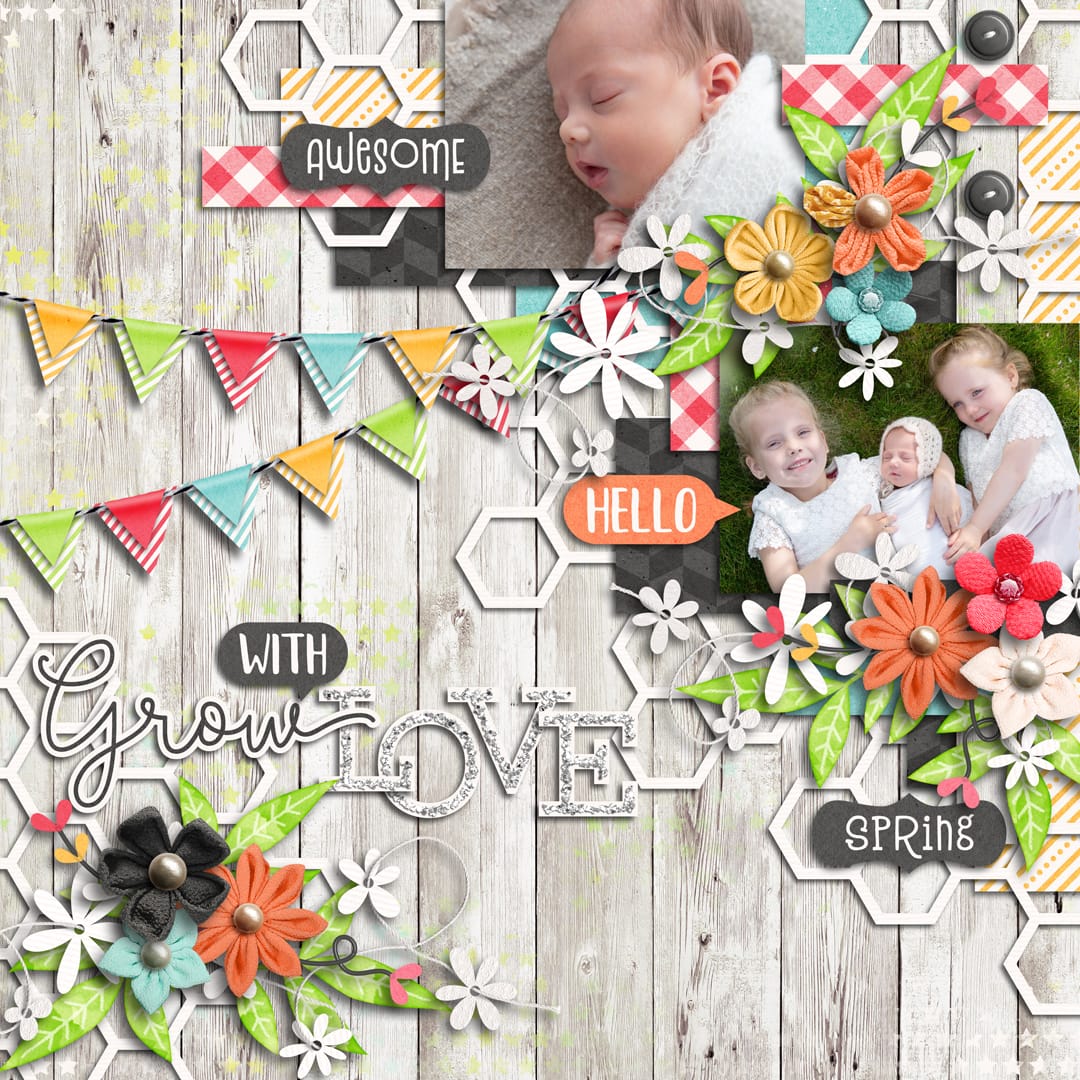 Layout Sample of Playing With Journal Cards 04 | Templates | Digital Scrapbooking