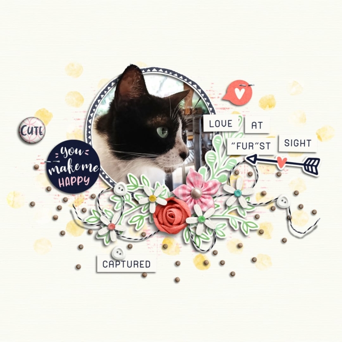 This Makes Me Happy | Collection