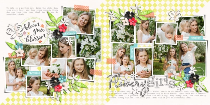 Photo Addict 05 | Templates, Bloom Grow Blossom | Collection