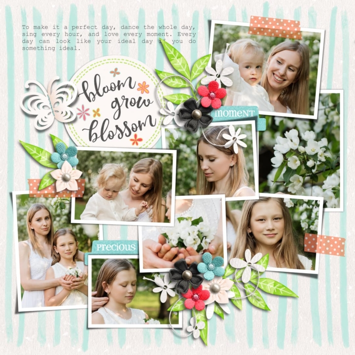 Photo Addict 05 | Templates, Bloom Grow Blossom | Collection
