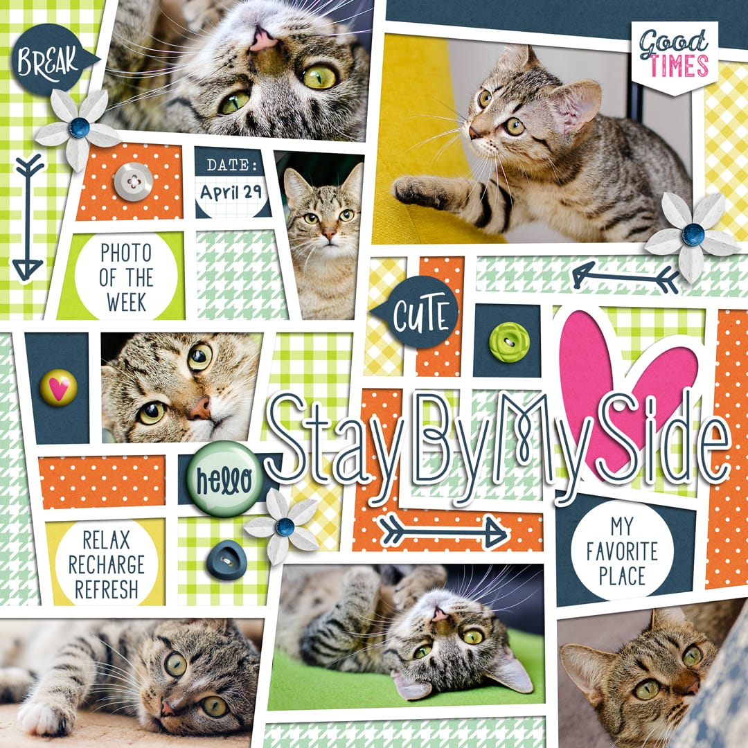 Layout Sample of Crazy Squares 04 | Templates