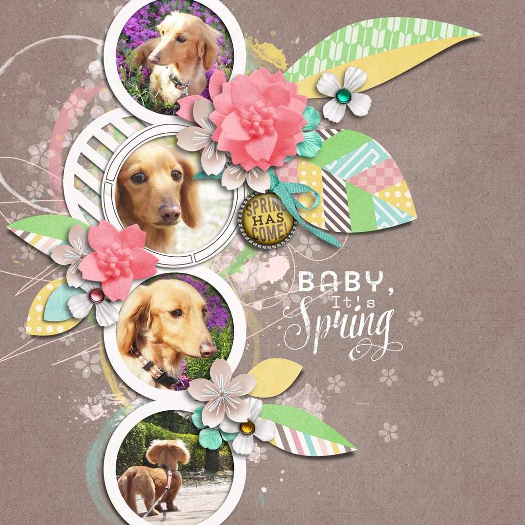 Layout Sample of Spring Leaves 01 | Templates