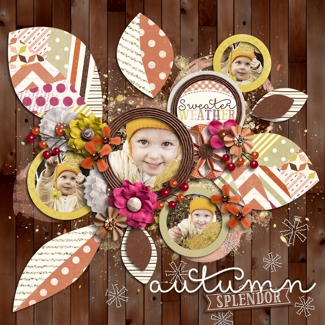 Layout Sample of Autumn Leaves | Templates