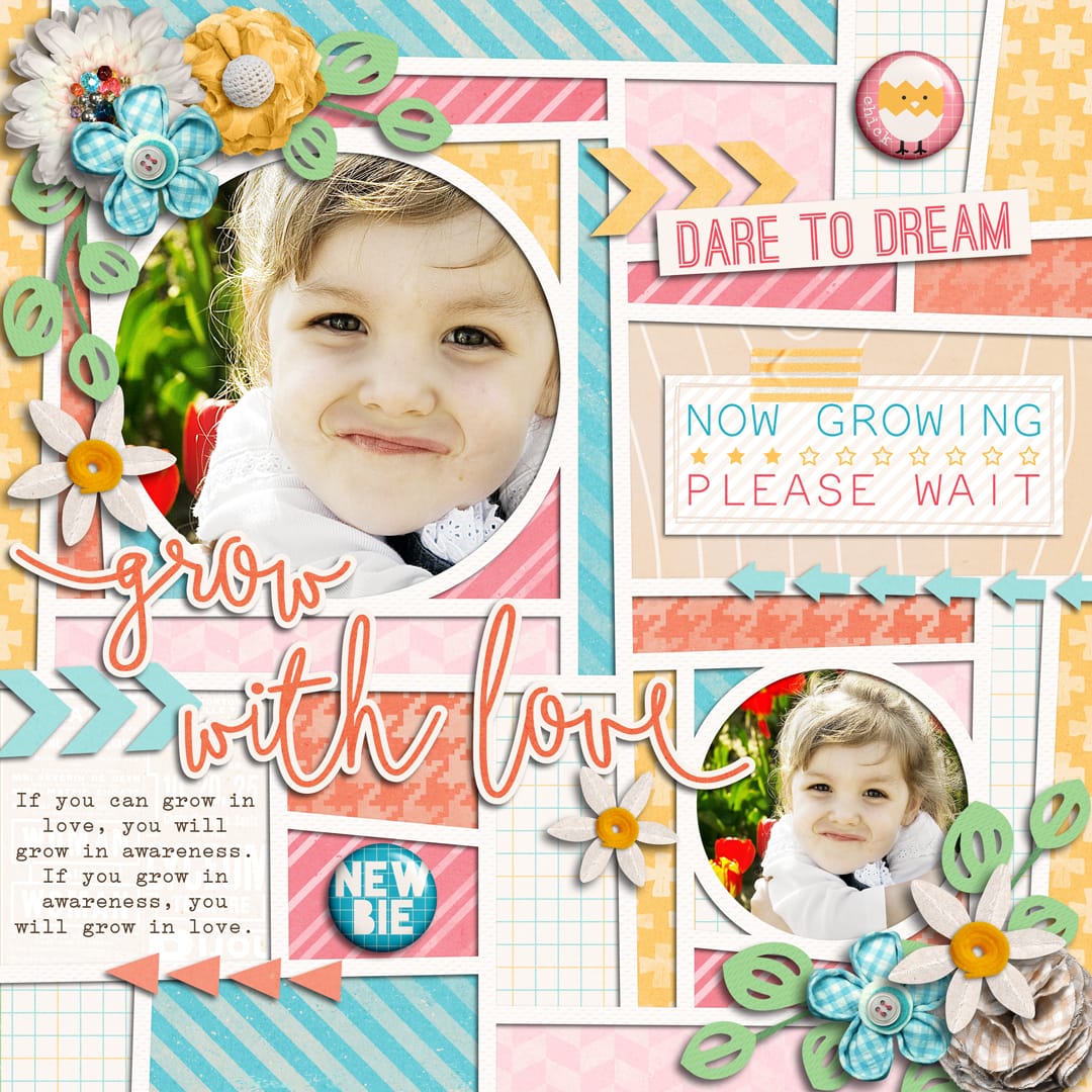 Layout Sample of Crazy Squares 05 | Templates