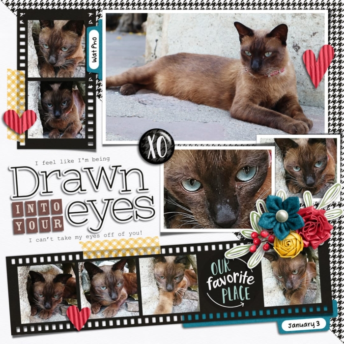 You + Me = Us | Collection, Photo Addict 13 | Templates