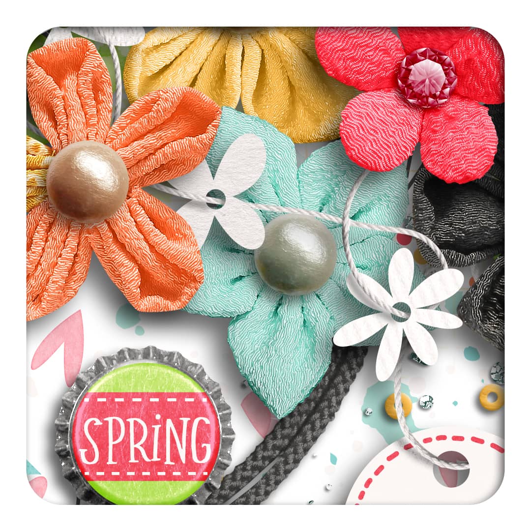 Bloom Grow Blossom | Elements