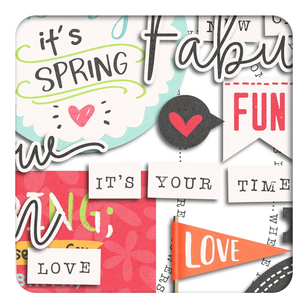 Bloom Grow Blossom | Wordbits