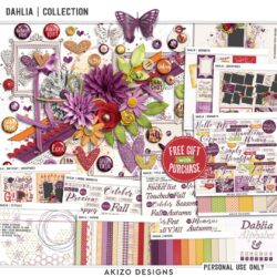 Dahlia | Collection