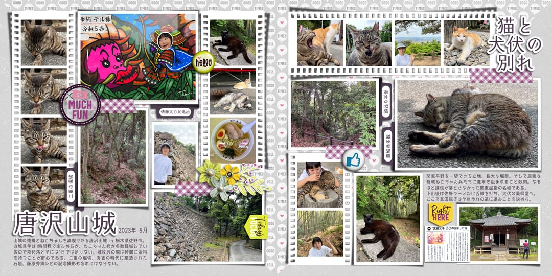 s26_gtr_pa18_db Good Times Roll | Collection, Photo Addict | Templates