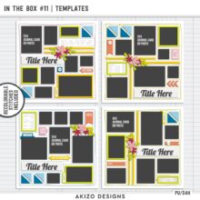 In The Box 11 | Templates