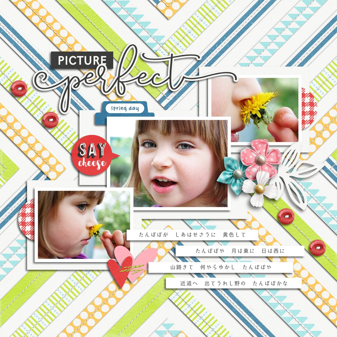 Photo Of The Day | Collection, Stitched Up 06 | Templates