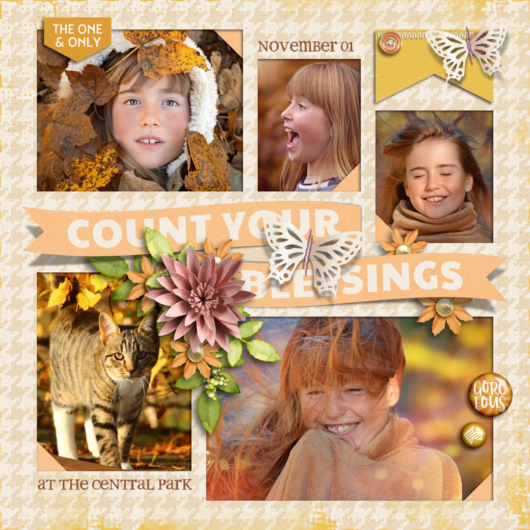 s21_dla_td25 Dahlia | Collection, Titled 25 | Templates