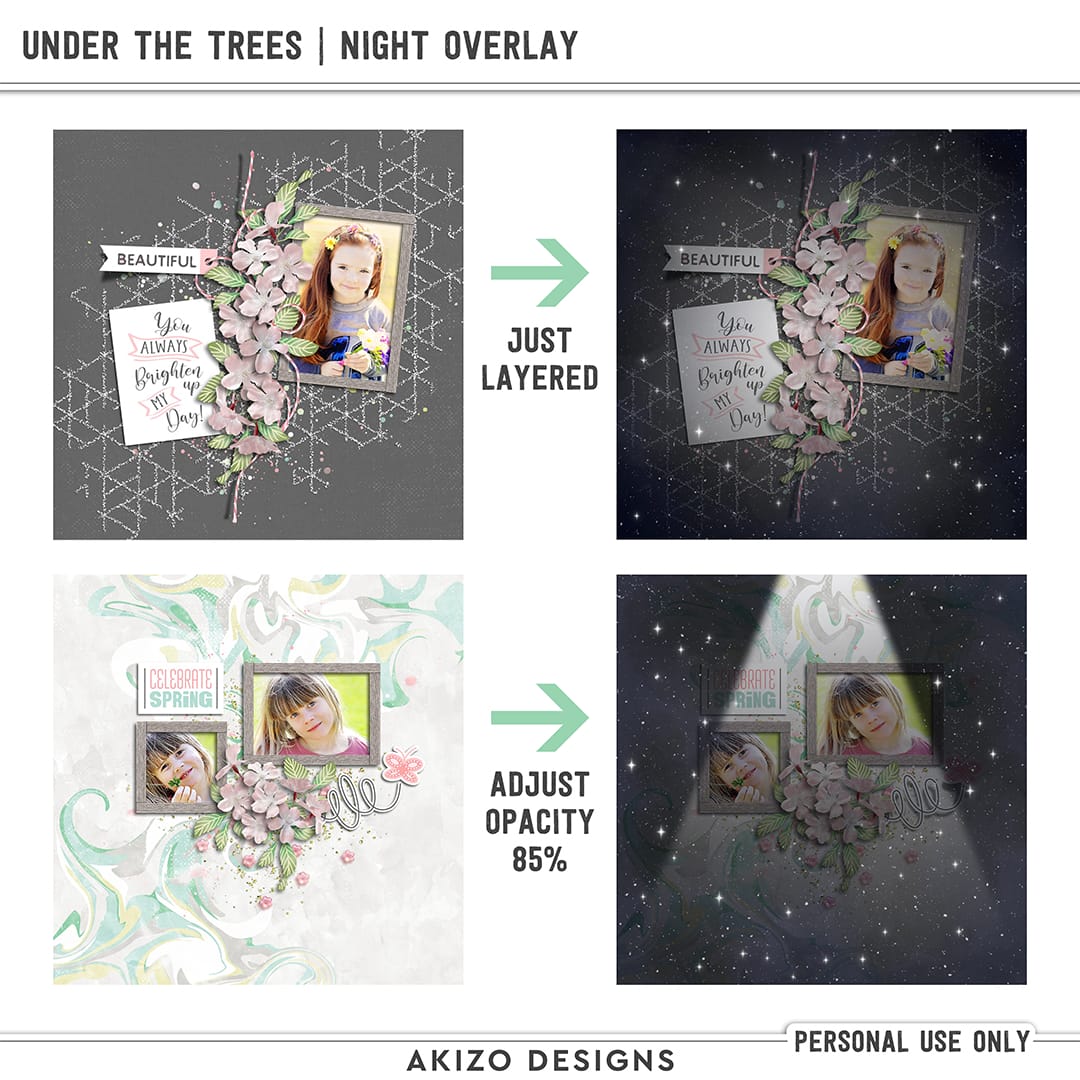 akizo_UnderTheTrees_nodv2_ig Under The Trees | Night Overlay