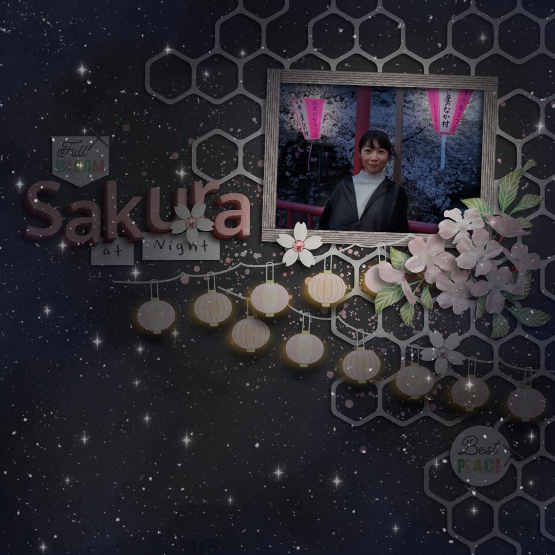 s5_utt_not_ol Under The Trees | Collection