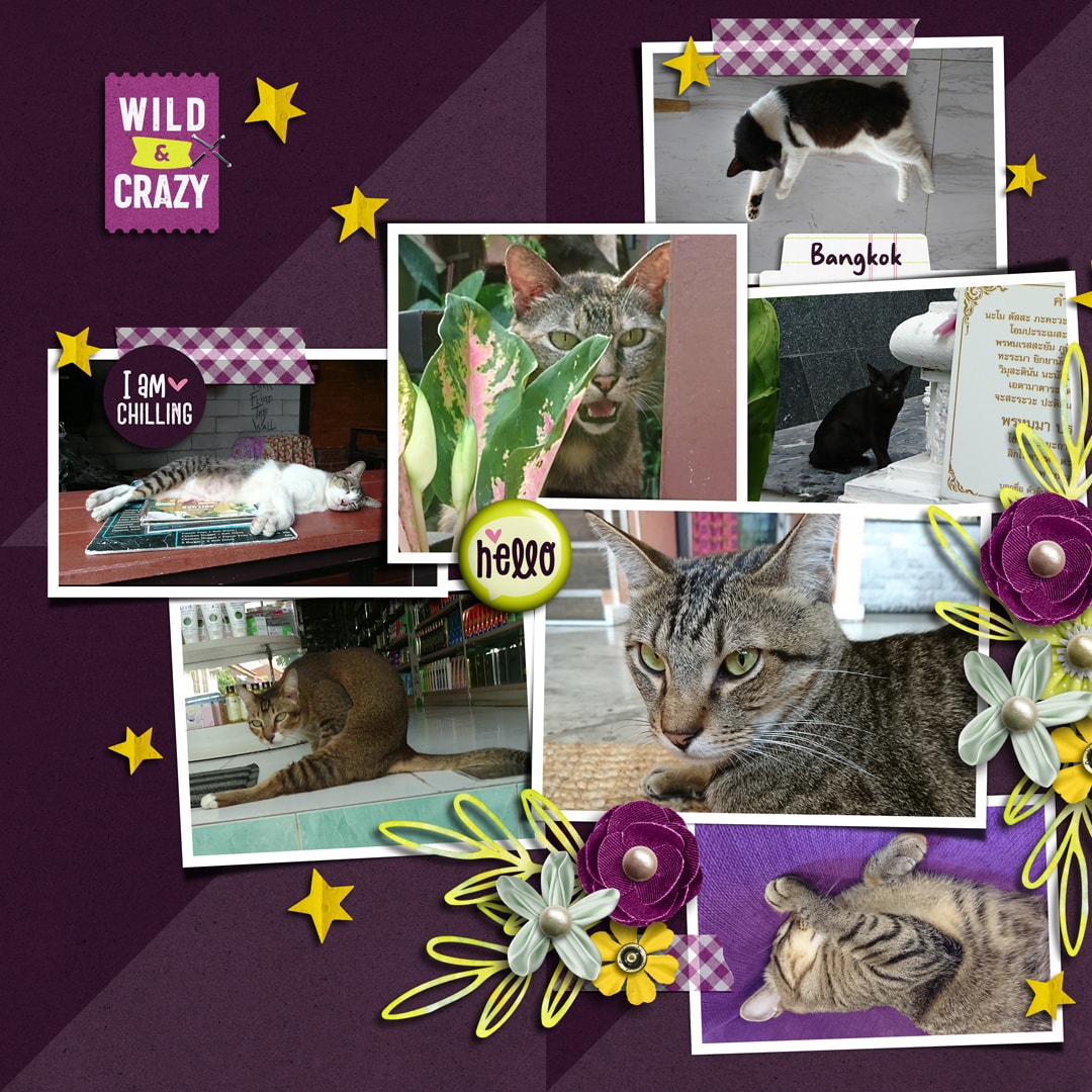 Good Times Roll | Collection, Photo Addict 10 | Templates