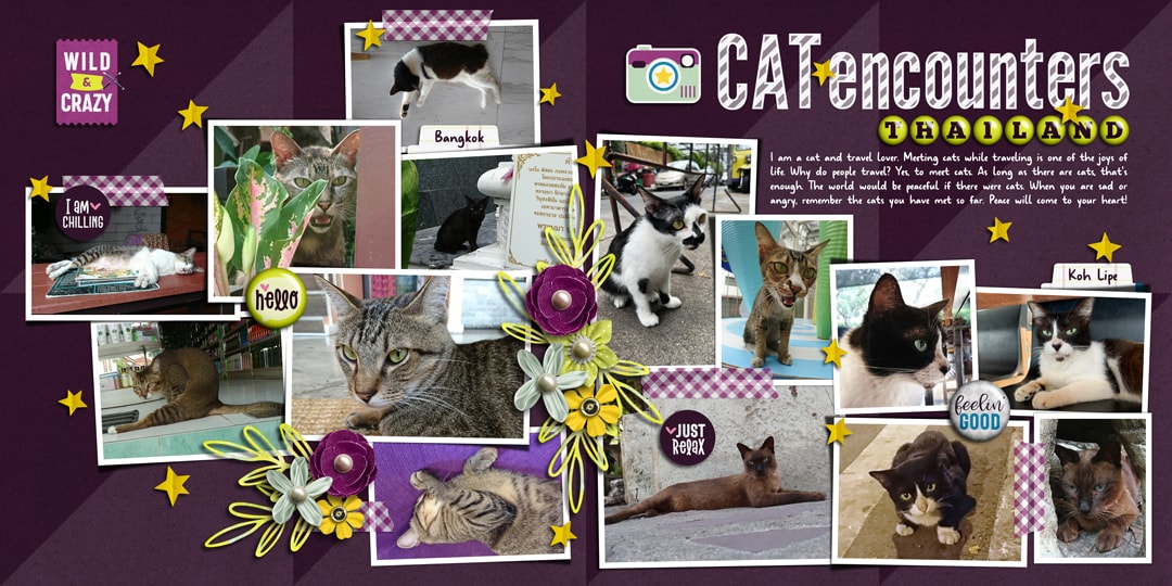 Good Times Roll | Collection, Photo Addict 10 | Templates