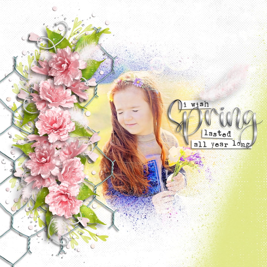 Springy Spring | Collection