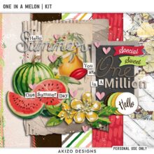 One In A Melon | Kit (Little Big Stories)