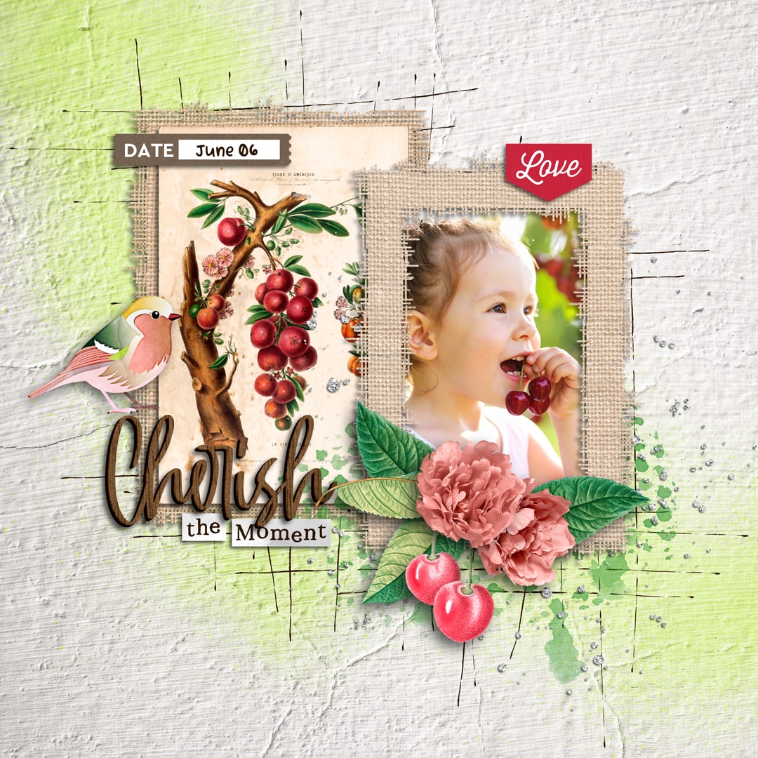 s1_ci_not Cherryish | Kit