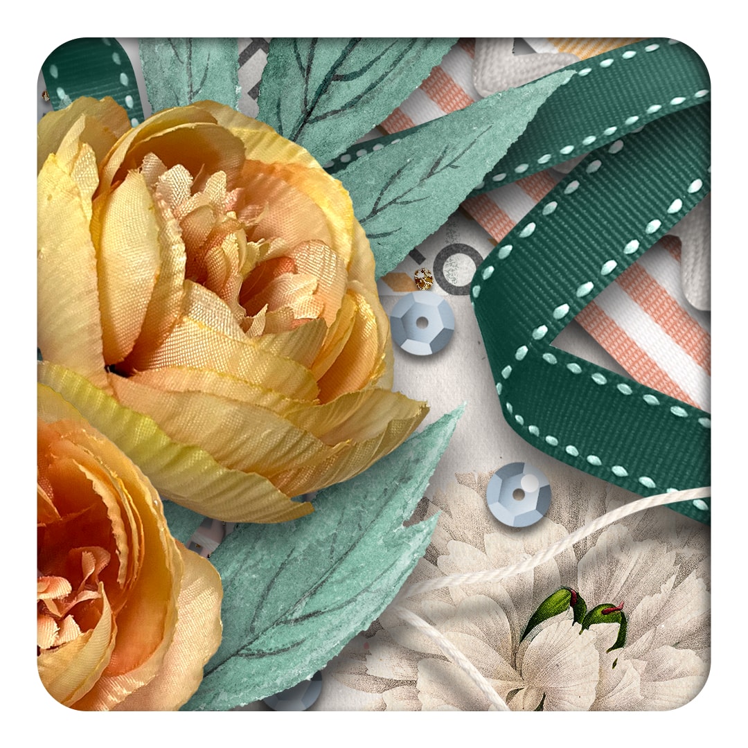 Feels Like June | Elements