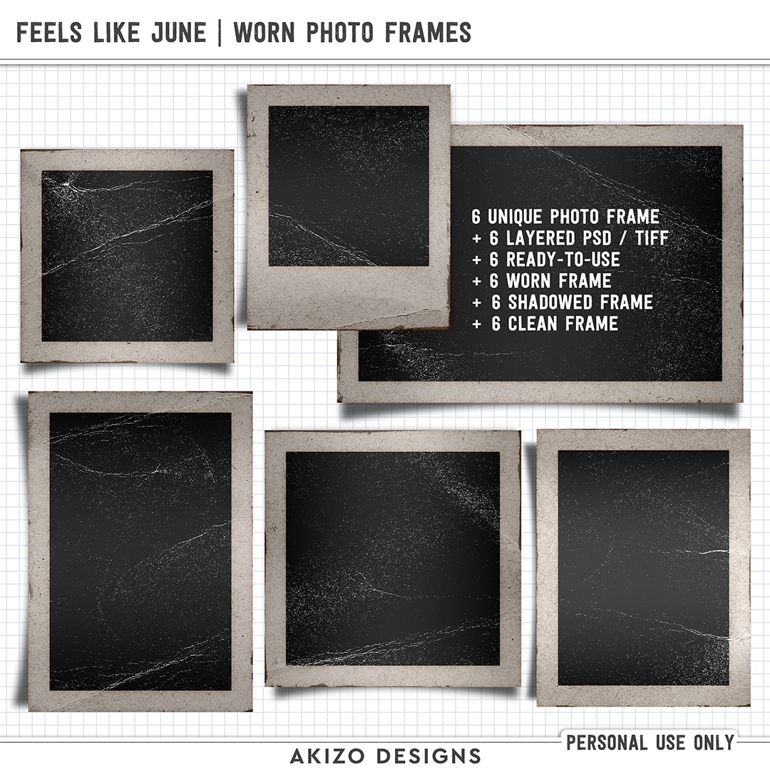 Feels Like June | Worn Photo Frames