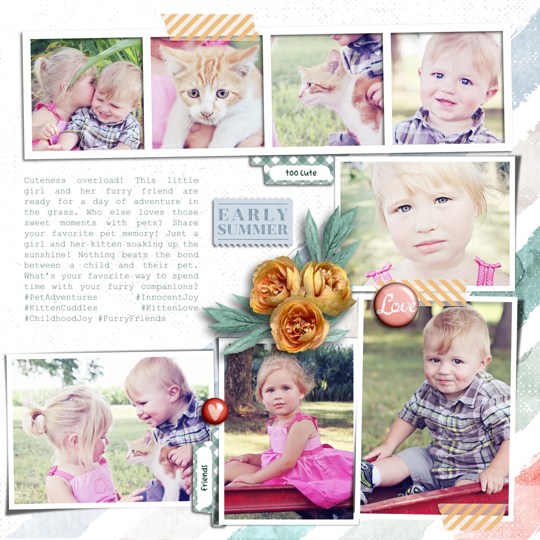Feels Like June | Collection, Photo Addict 06 | Templates