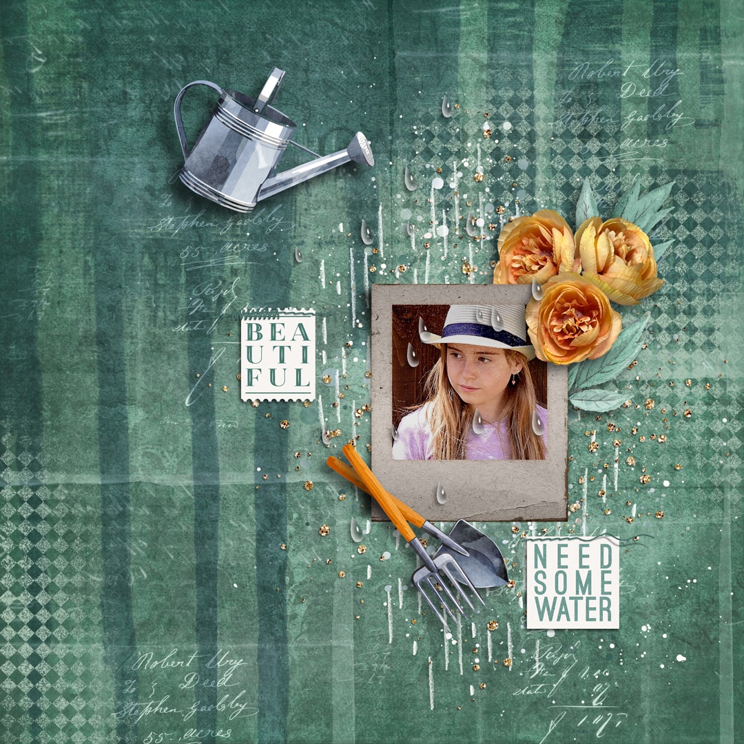 Feels Like June | Collection