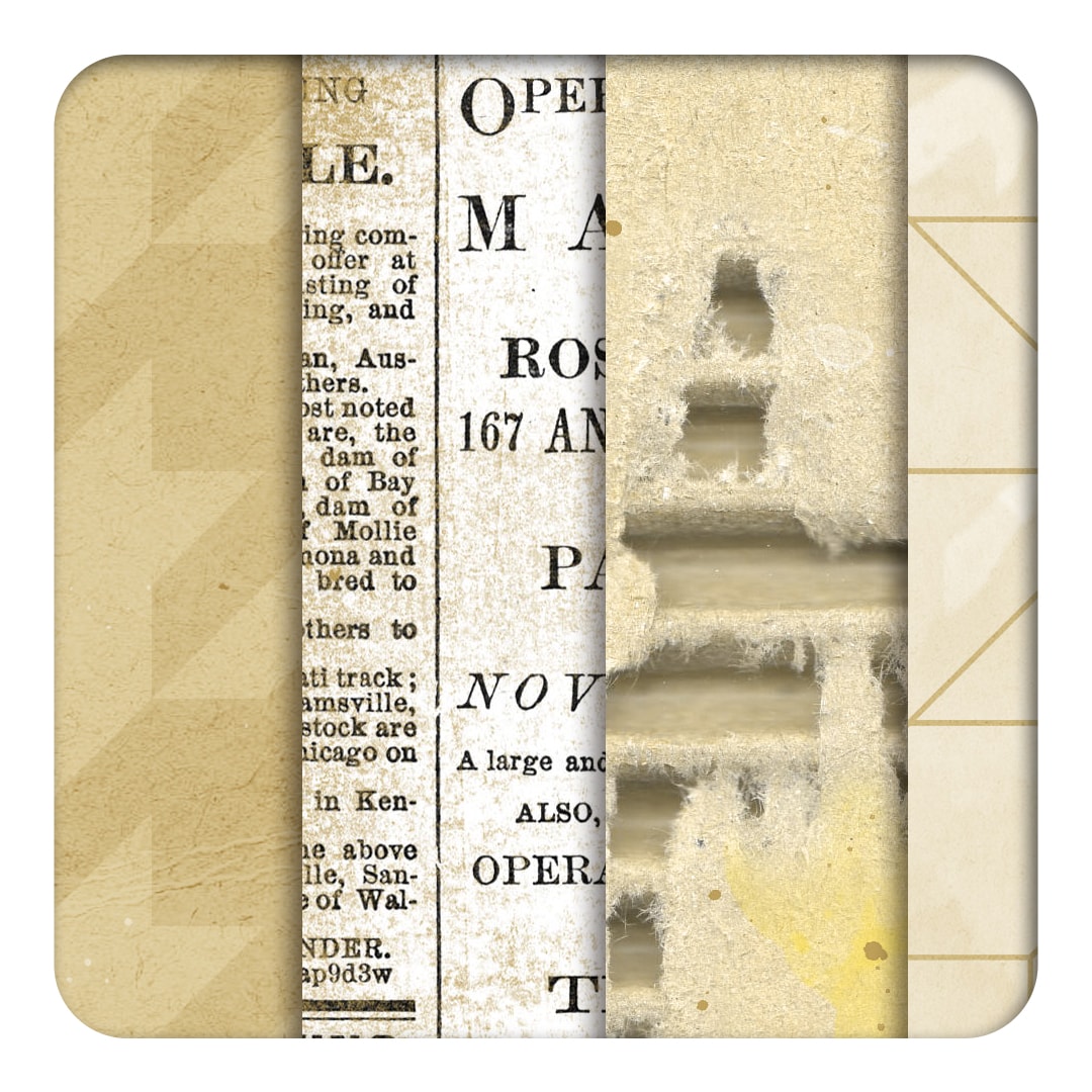 akizo_DazzlingBeauty_nppdv1_ig Dazzling Beauty | Neutral Papers