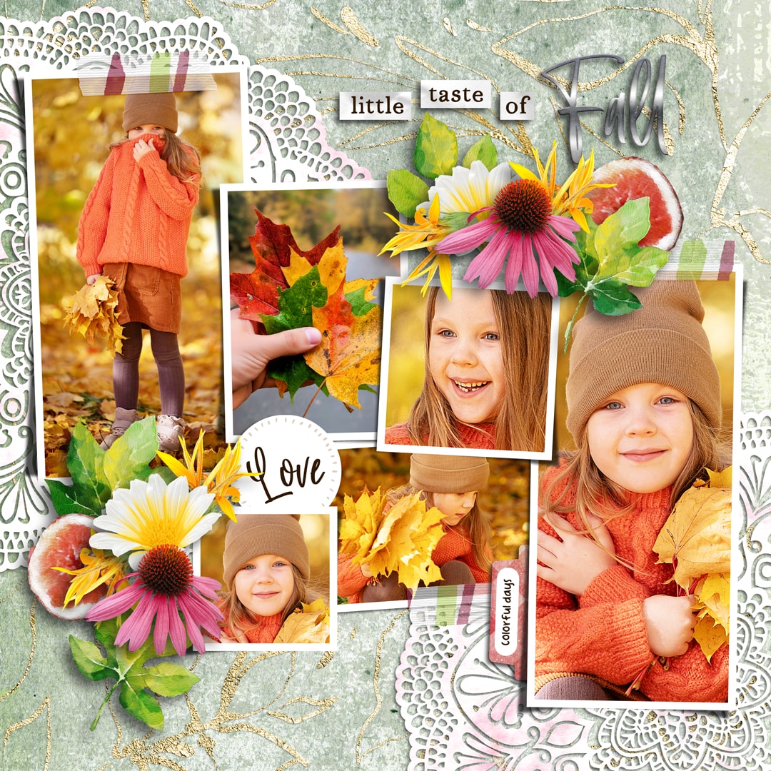 Figgy Fall | Kit, Photo Addict 05 | Templates
