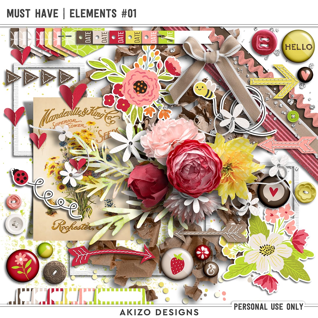 Must Have | Elements 01