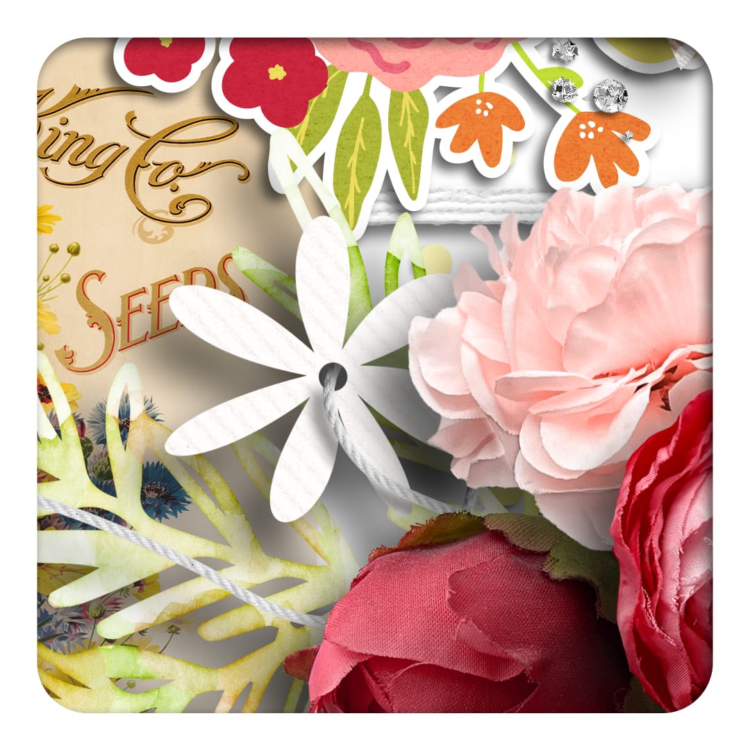 Must Have | Elements 01