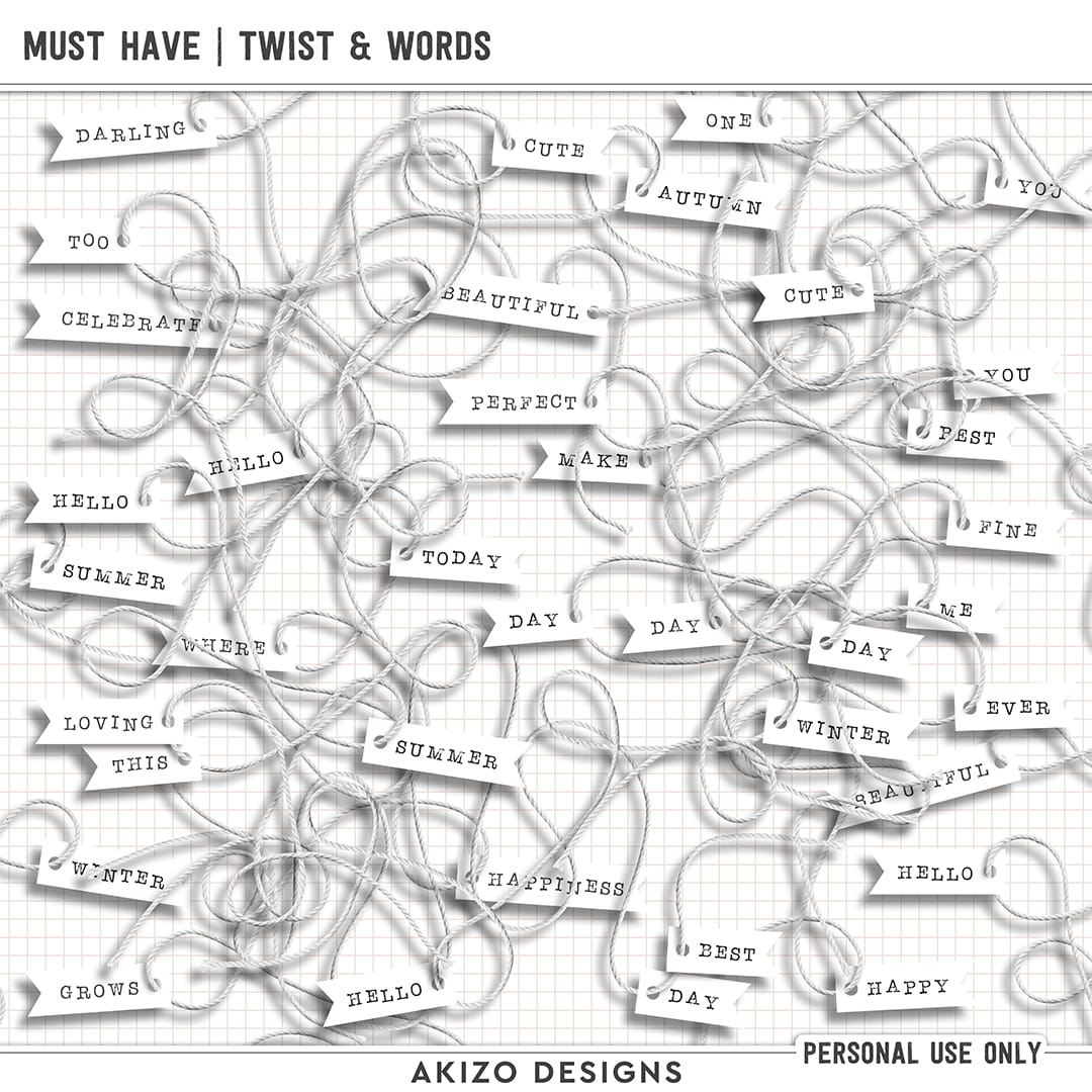 Must Have | Twist And Words