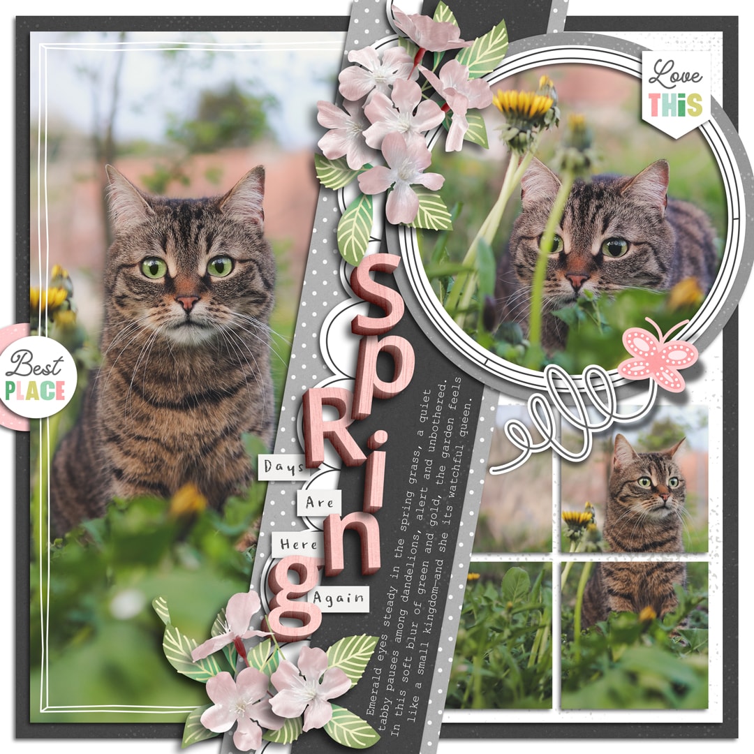 Under The Trees | Collection, Paper Play 20 | Templates