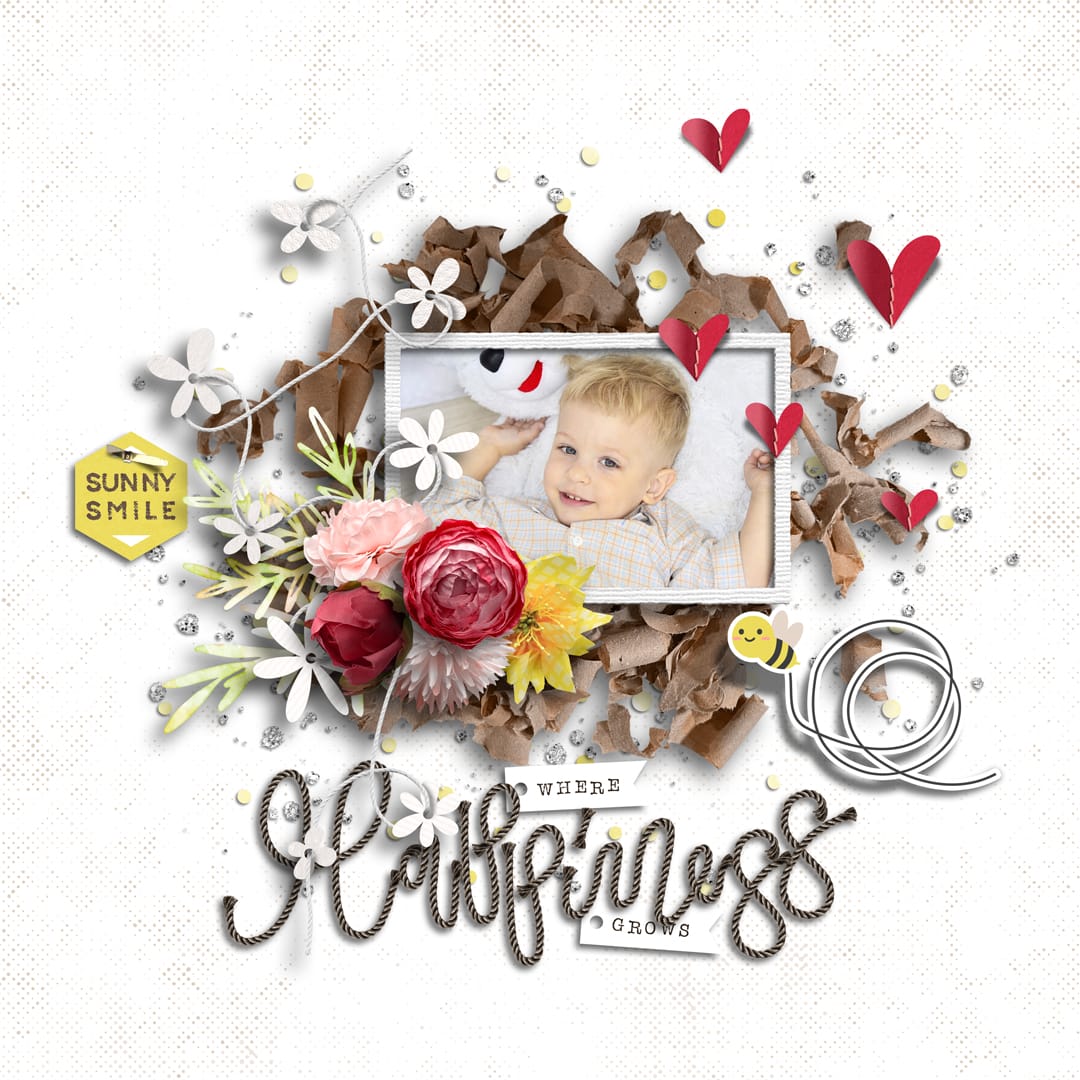 Must Have | Bundle 01