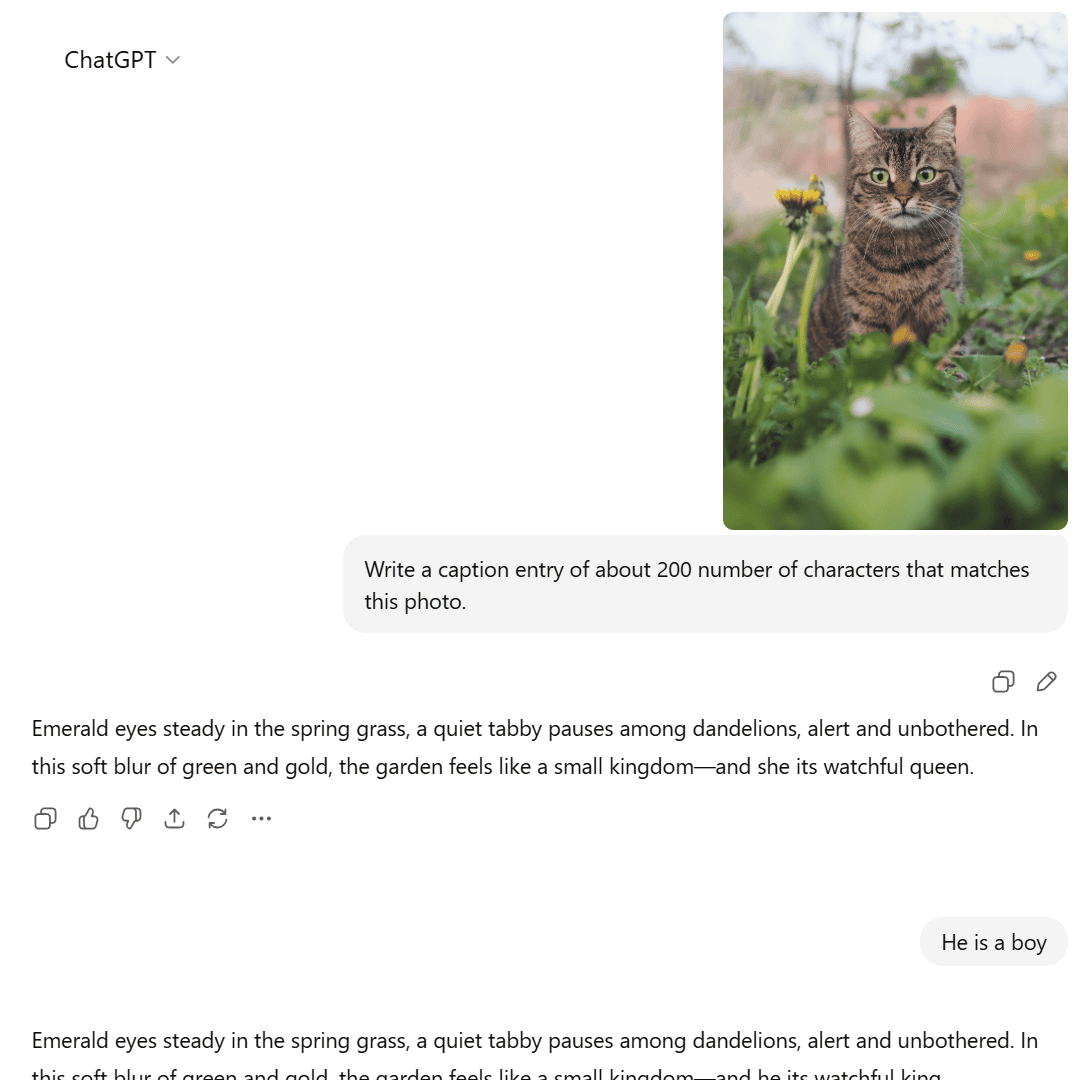 AOM26 Challenge Result