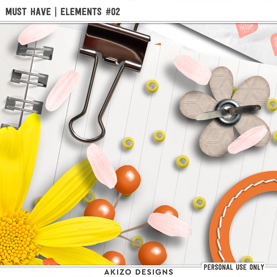 Must Have | Elements 02